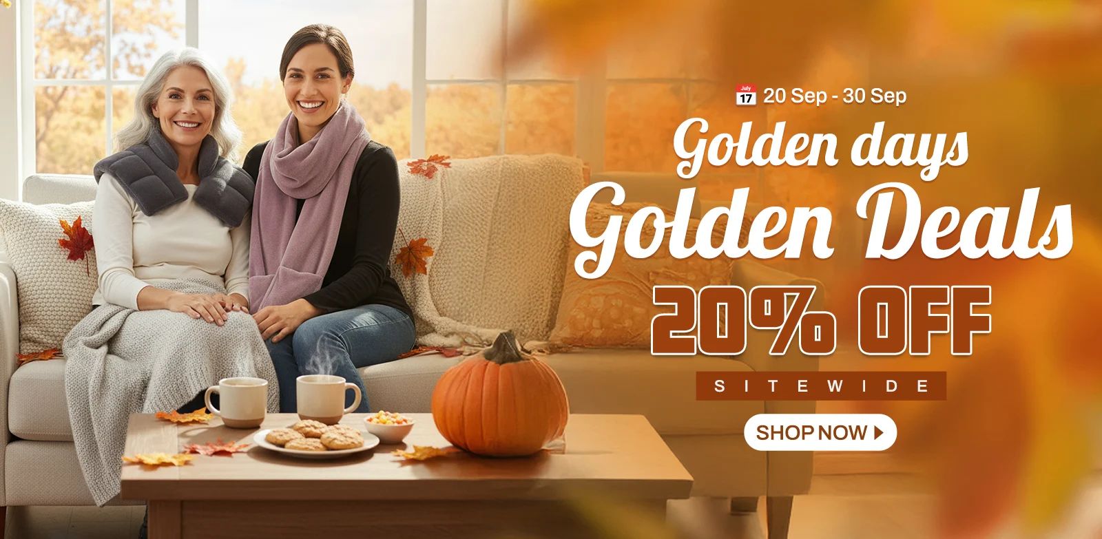 Website Banner