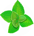 PEPPERMINT